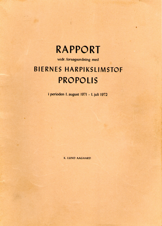 Rapport